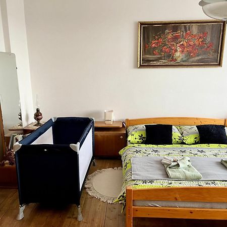 Slunny Byt S Krasnym Vyhledem Apartment Nove Mesto nad Metuji Exterior photo