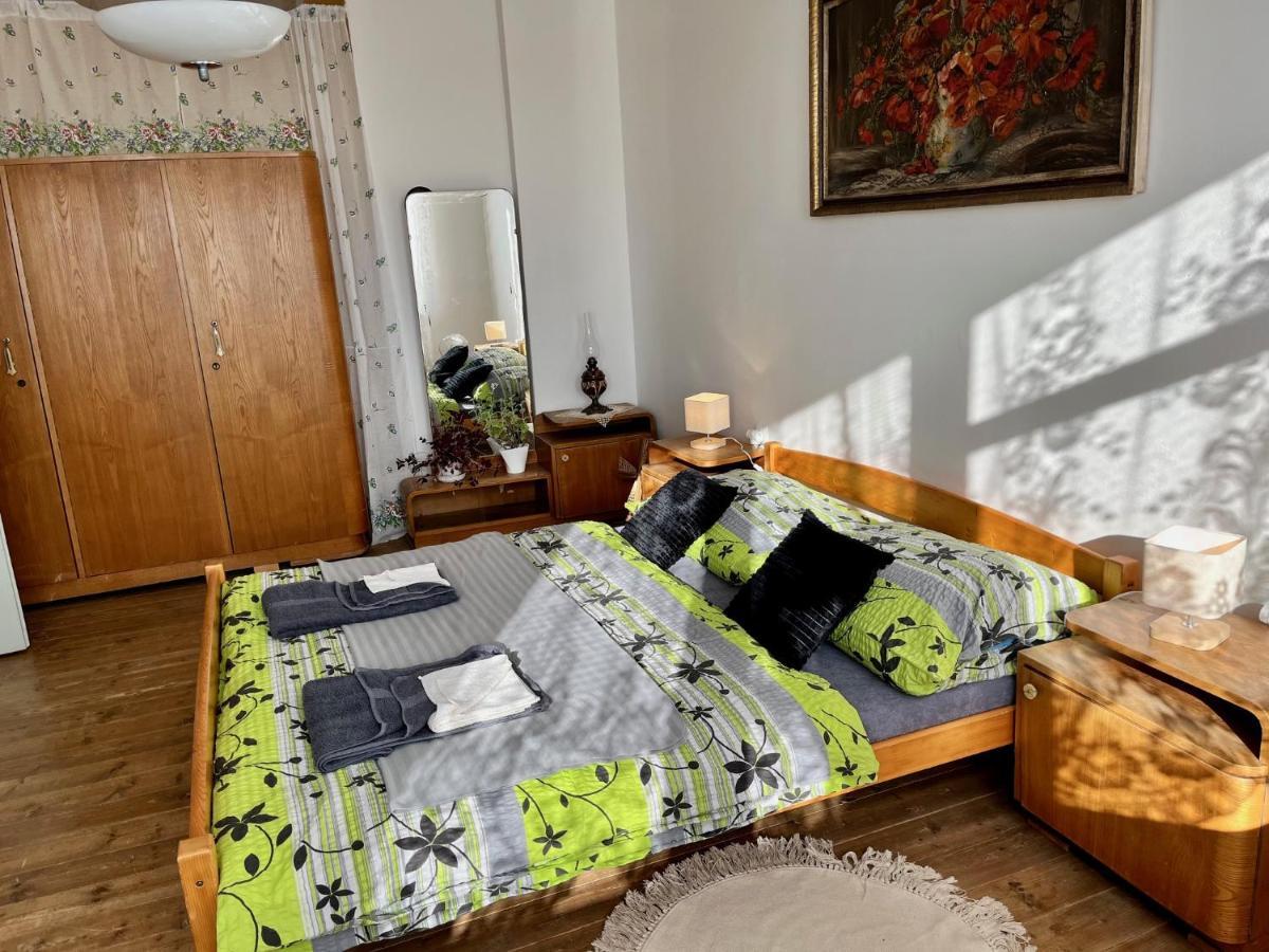 Slunny Byt S Krasnym Vyhledem Apartment Nove Mesto nad Metuji Exterior photo