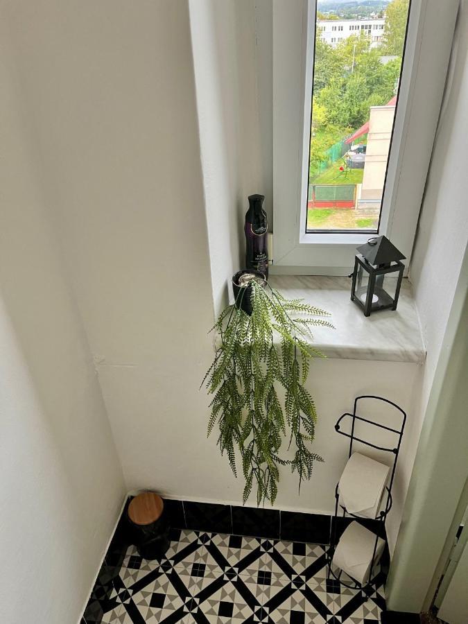 Slunny Byt S Krasnym Vyhledem Apartment Nove Mesto nad Metuji Exterior photo