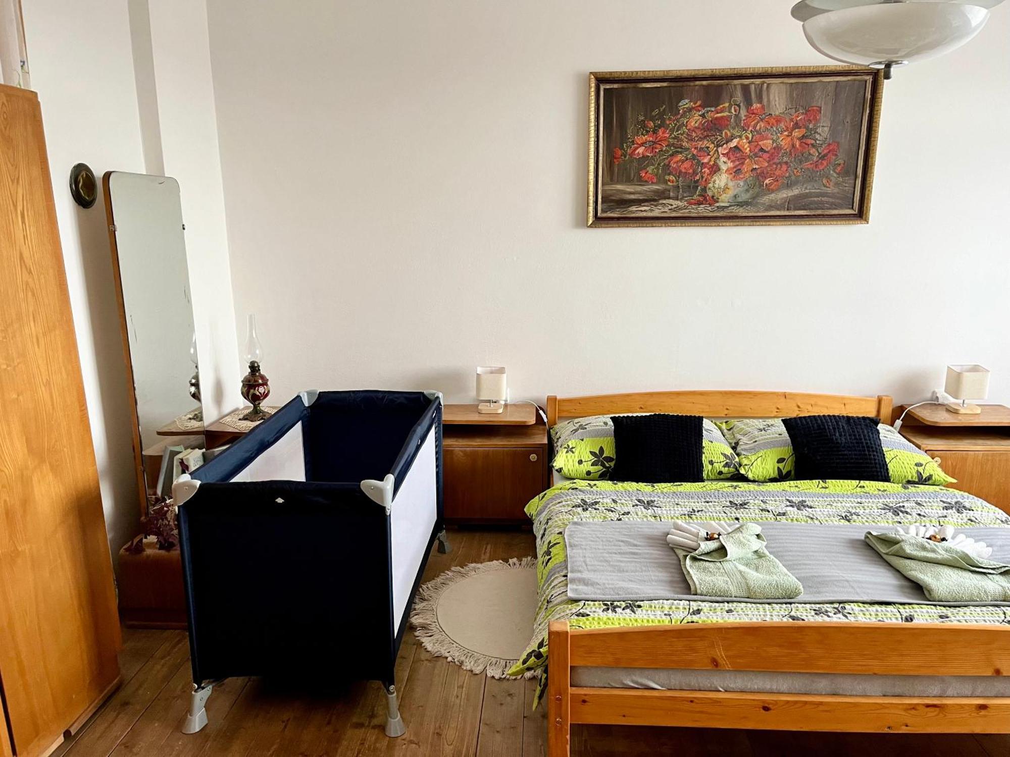 Slunny Byt S Krasnym Vyhledem Apartment Nove Mesto nad Metuji Exterior photo